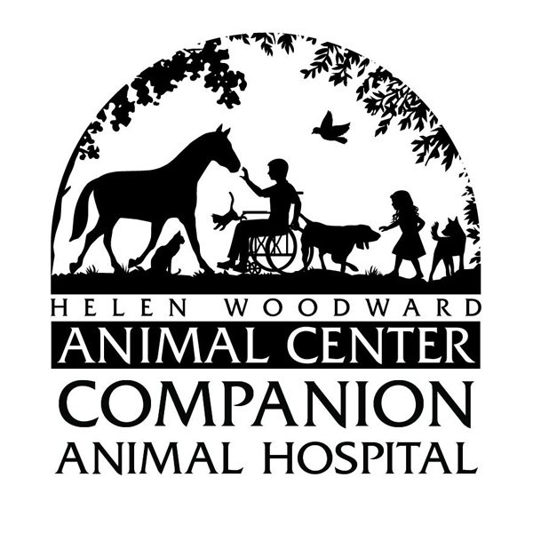 Helen-Animal-Center